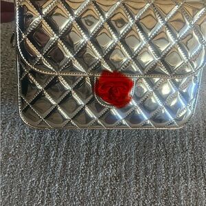 C c Metallic Quilted Purse